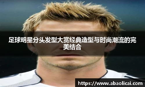 博鱼体育